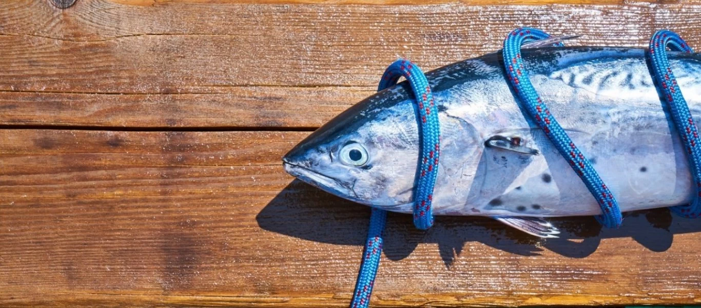 Βουλή: Ερώτηση ΣΥΡΙΖΑ για τις απολύσεις εργαζομένων στην Ιχθυόσκαλα Κερατσινίου